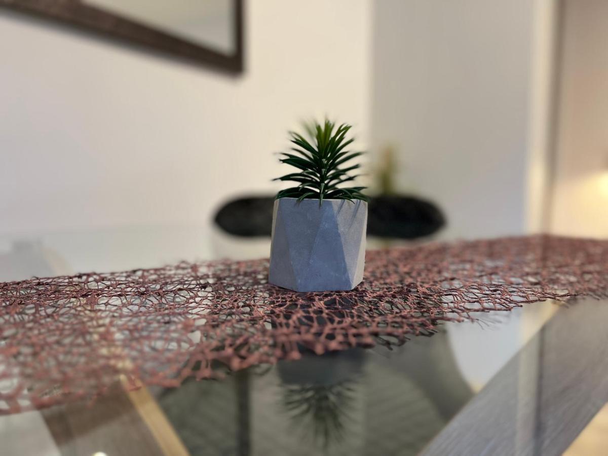 סופטאר Apartmani Ivelic מראה חיצוני תמונה